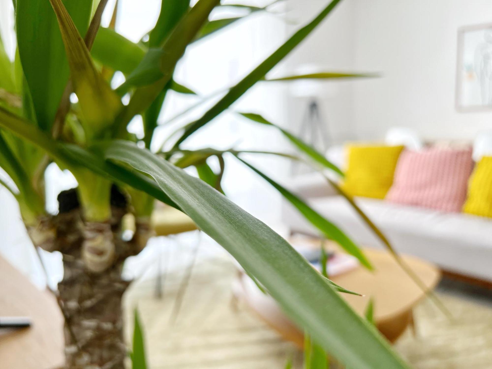Le Viarm'Elite Apartment Nantes Bagian luar foto
